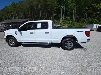 2024 Ford F-150 XLT Crew Cab Medium Bed - miniatura 3