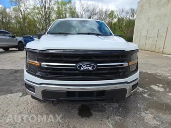 2024 Ford F-150 XLT Crew Cab Medium Bed - miniatura 2