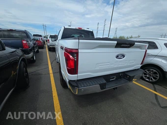 2024 Ford F-150 XLT Crew Cab Medium Bed - miniatura 6