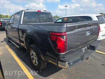 2024 Ford F-150 XLT Crew Cab Medium Bed - miniatura 2