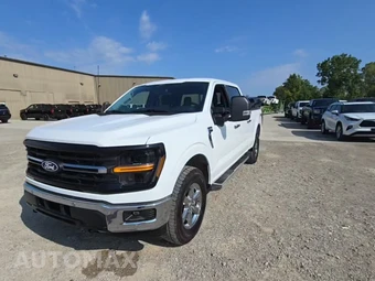 2024 Ford F-150 XLT Crew Cab Medium Bed - miniatura 1