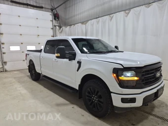 2024 Ford F-150 XLT Crew Cab Medium Bed - miniatura 2