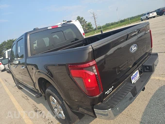 2024 Ford F-150 XLT Crew Cab Short Bed - miniatura 2