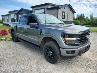 2024 Ford F-150 XLT Crew Cab Short Bed - miniatura 2