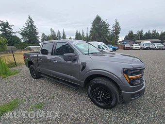 2024 Ford F-150 XLT Crew Cab Short Bed - miniatura 4