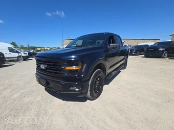 2024 Ford F-150 XLT Crew Cab Short Bed