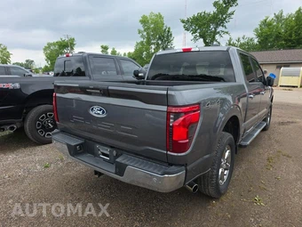 2024 Ford F-150 XLT Crew Cab Short Bed - miniatura 4