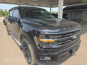 2024 Ford F-150 XLT Crew Cab Short Bed - miniatura 3