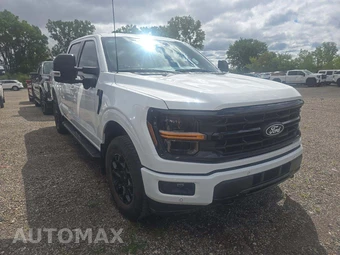 2024 Ford F-150 XLT Crew Cab Short Bed - miniatura 4