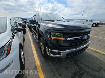 2024 Ford F-150 XLT Crew Cab Short Bed - miniatura 3