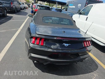 2024 Ford Mustang EcoBoost Premium Convertible - miniatura 5