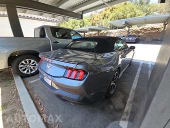 2024 Ford Mustang EcoBoost Premium Convertible - miniatura 4