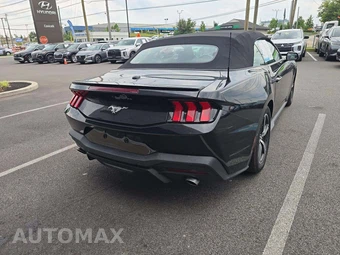 2024 Ford Mustang EcoBoost Premium Convertible - miniatura 3