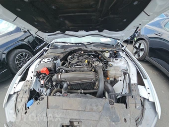 2024 Ford Mustang EcoBoost Premium Convertible - miniatura 16