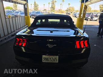 2024 Ford Mustang EcoBoost Premium Convertible - miniatura 5