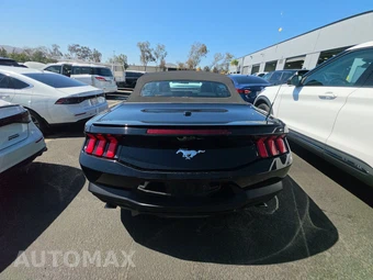 2024 Ford Mustang EcoBoost Premium Convertible - miniatura 5