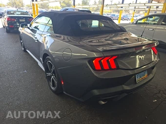 2024 Ford Mustang EcoBoost Premium Convertible - miniatura 6