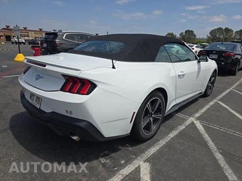 2024 Ford Mustang EcoBoost Premium Convertible - miniatura 4