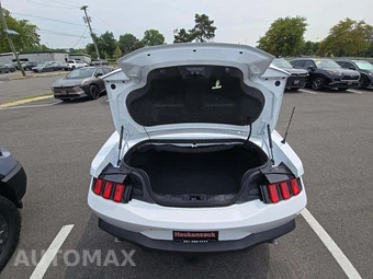 2024 Ford Mustang EcoBoost Premium Convertible - miniatura 14