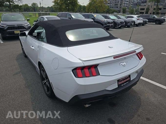 2024 Ford Mustang EcoBoost Premium Convertible - miniatura 2