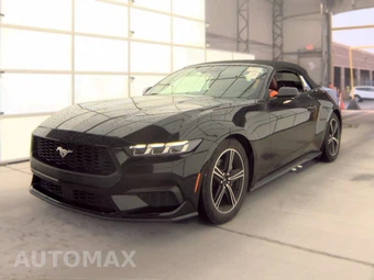 2024 Ford Mustang EcoBoost Premium Convertible - car from the USA, Manheim Buy-Now listing at AUTOMAX
