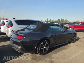 2024 Ford Mustang EcoBoost Premium Convertible - miniatura 4