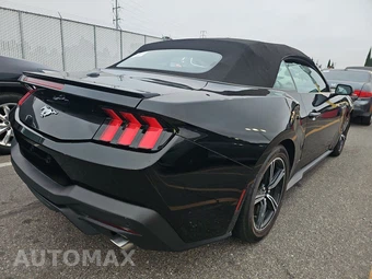 2024 Ford Mustang EcoBoost Premium Convertible - miniatura 4