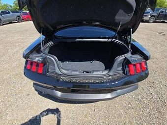 2024 Ford Mustang GT Premium Coupe - miniatura 11