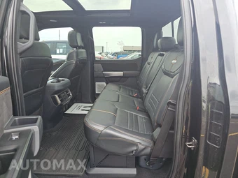 2024 Ford Super Duty F-250 Platinum Crew Cab Medium Bed - miniatura 19