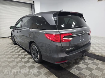2024 Honda Odyssey Elite 118.1" WB - miniatura 6