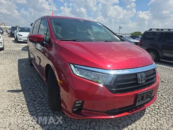 2024 Honda Odyssey Elite 118.1" WB - miniatura 3