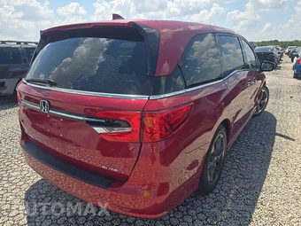 2024 Honda Odyssey Elite 118.1" WB - miniatura 4