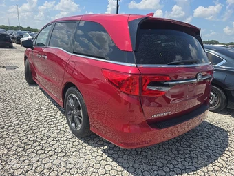 2024 Honda Odyssey Elite 118.1" WB - miniatura 6