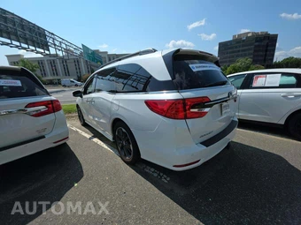 2024 Honda Odyssey Elite 118.1" WB - miniatura 2