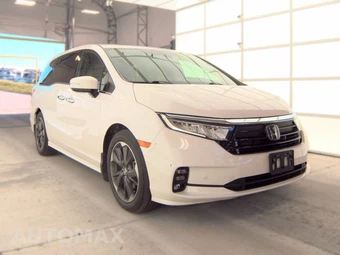 2024 Honda Odyssey Elite 118.1" WB - miniatura 3