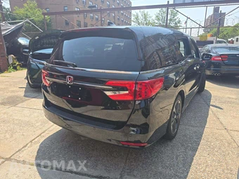 2024 Honda Odyssey Elite 118.1" WB - miniatura 3