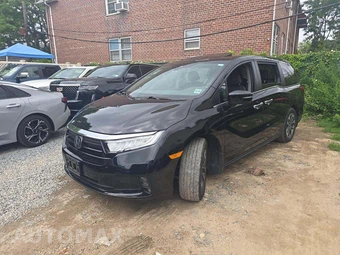 2024 Honda Odyssey EX-L 118.1" WB