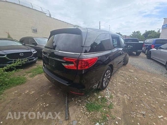 2024 Honda Odyssey EX-L 118.1" WB - miniatura 3
