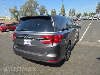 2024 Honda Odyssey EX-L 118.1" WB - miniatura 4