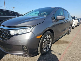 2024 Honda Odyssey EX-L 118.1" WB