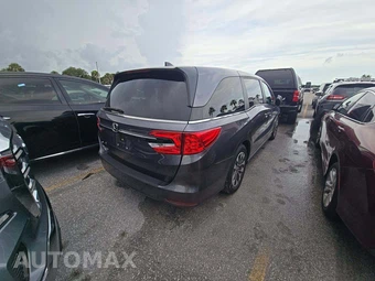 2024 Honda Odyssey EX-L 118.1" WB - miniatura 3