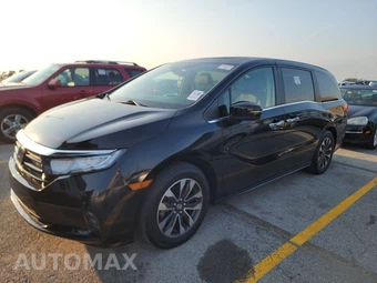 2024 Honda Odyssey EX-L 118.1" WB