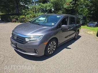 2024 Honda Odyssey EX-L 118.1" WB