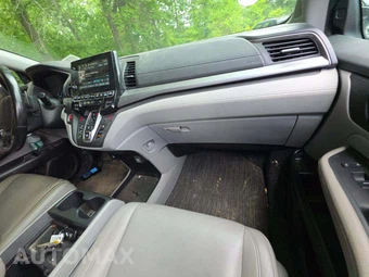 2024 Honda Odyssey EX-L 118.1" WB - miniatura 20
