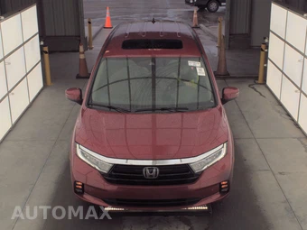 2024 Honda Odyssey Touring 118.1" WB - miniatura 2