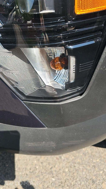 2024 Hyundai Kona SEL - miniatura 34