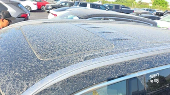 2024 Hyundai Palisade Calligraphy – miniatura 21