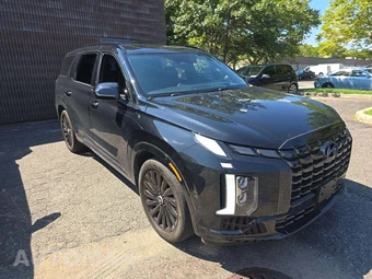 2024 Hyundai Palisade Calligraphy Night Edition - miniatura 4