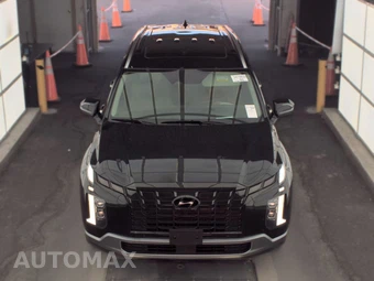 2024 Hyundai Palisade Limited - miniatura 2