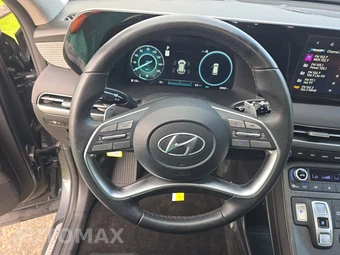 2024 Hyundai Palisade Limited - miniatura 10